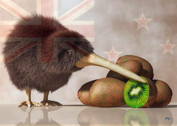 kiwi slang kiwi bird with kiwi friut