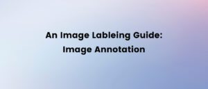an image labeling guide image annotation