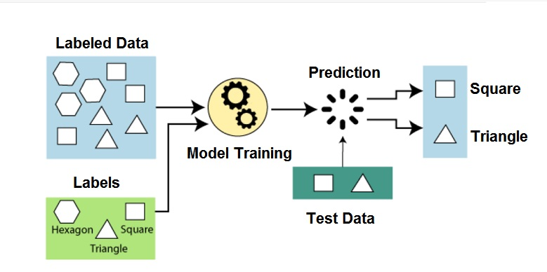 test the model for machine learning 